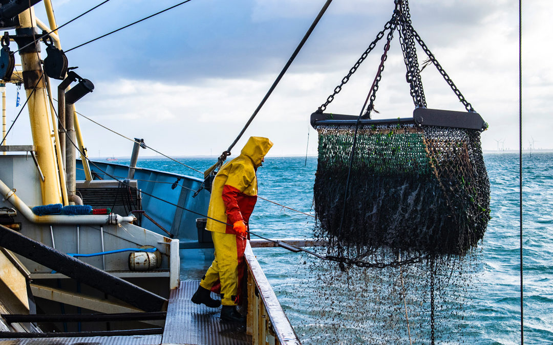 ¿Cuál es la propuesta de Europa para las cuotas pesqueras? Un 2022 con recortes