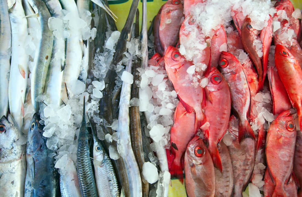 exención tasa pesca fresca